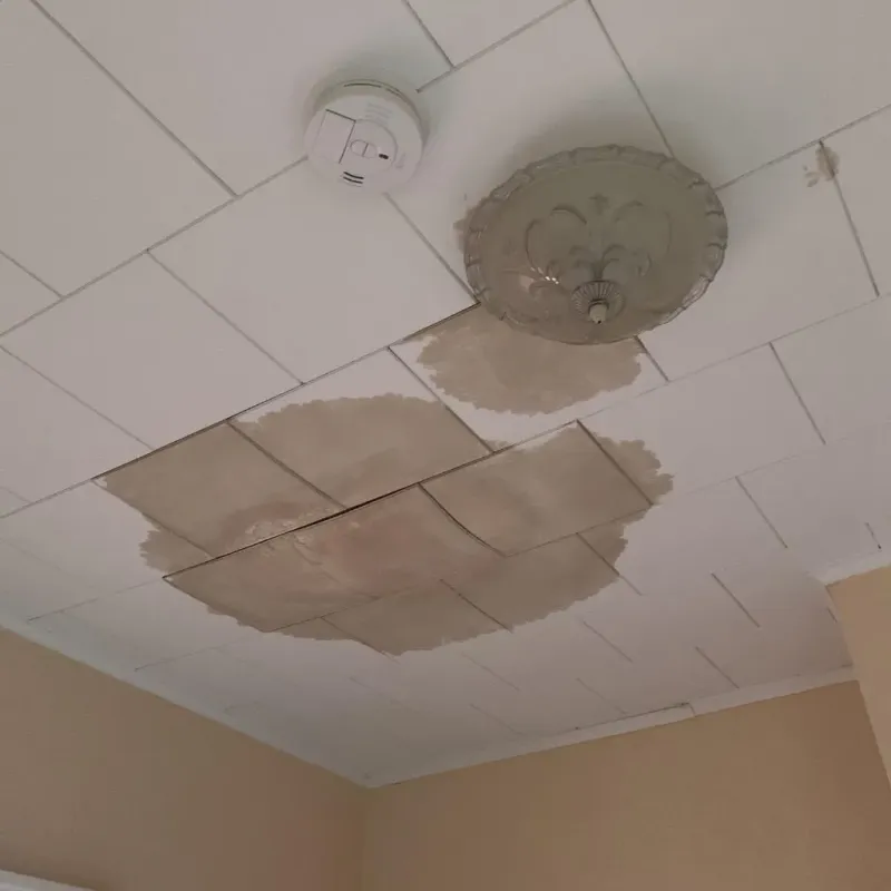 Ceiling Water Damage Repair in Coushatta, LA