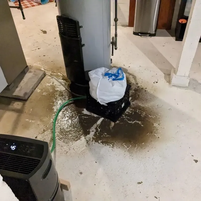 Sewage Backup Cleanup Service in Coushatta, LA
